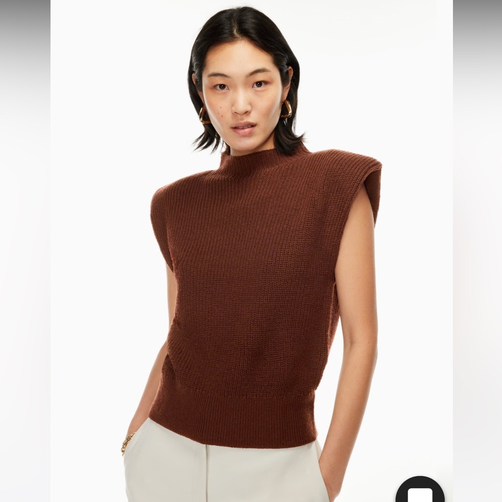 Babaton/Aritizia Brown Sweater Vest